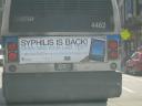 syphillis3.jpg